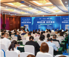 1752046226917.png 1752046226917.png